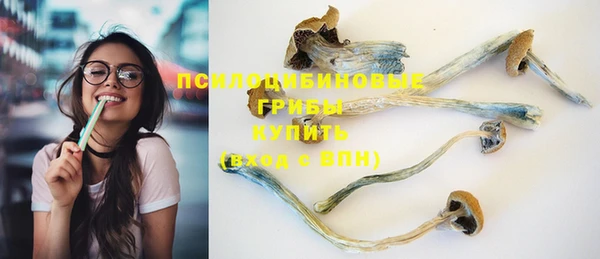 стафф Алексеевка